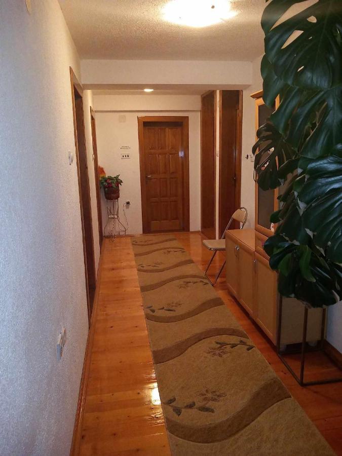 Apartment Little Village Плав Экстерьер фото